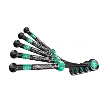 G-aenial A'CHORD AO2 4g Syringe - Image 2