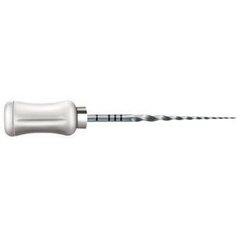 ProTaper Universal S2 31mm 6pcs